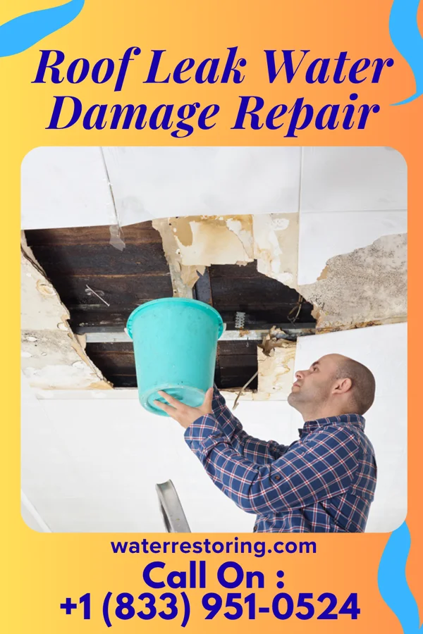 Roof Leak Water Damage Repair in Moreauville, LA
