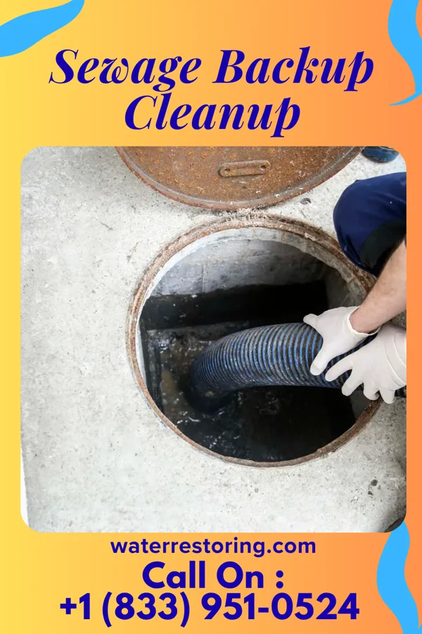 Sewage Backup Cleanup in Moreauville, LA