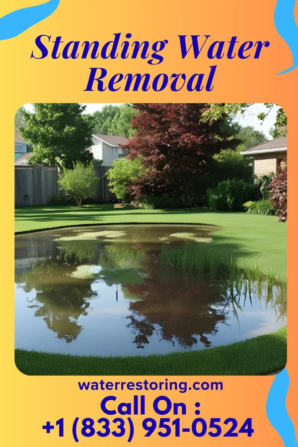 Standing Water Removal in Moreauville, LA